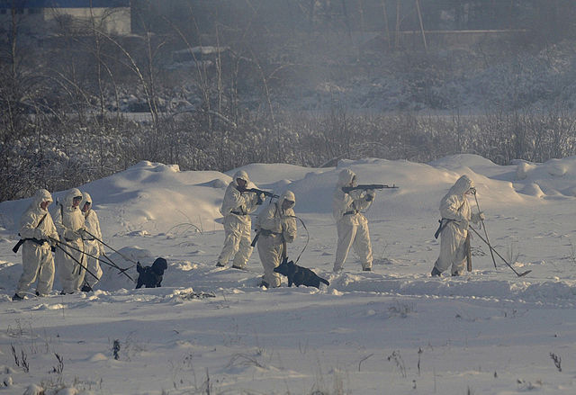 640px-RIAN_archive_842942_Military_exercises_of_Guards_Engineer_Brigade_and_Engineer_Camouflage_Regiment_of_Russian_army
