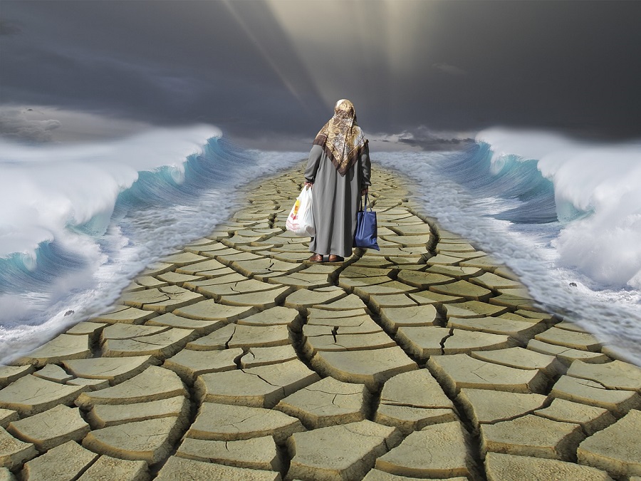 refugee